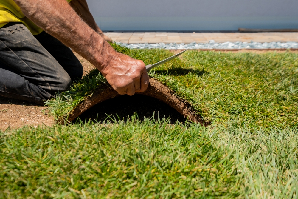 bezuz-commercial-clean-up-sodding